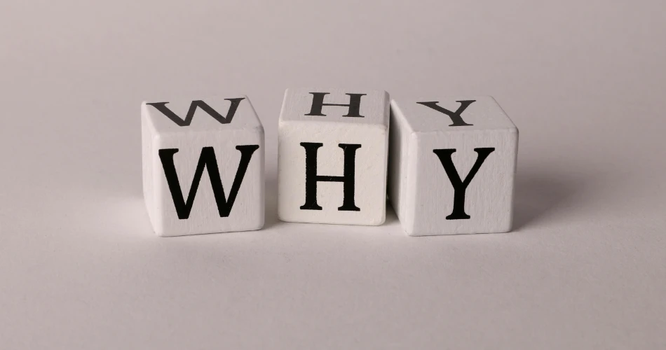 Best Things to Do in Oceanside, USA: Beaches, Dining, Festivals & Family Activities