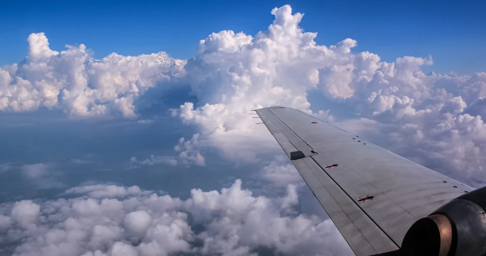 Best Things to Do in Oceanside, USA: Beaches, Dining, Festivals & Family Activities