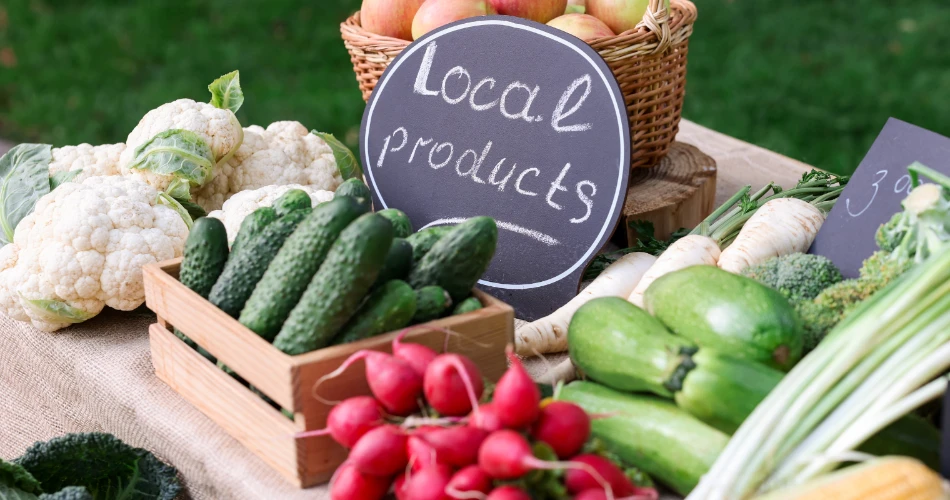 Oceanside, California Travel Guide: Attractions, Restaurants, Outdoor Activities & Events