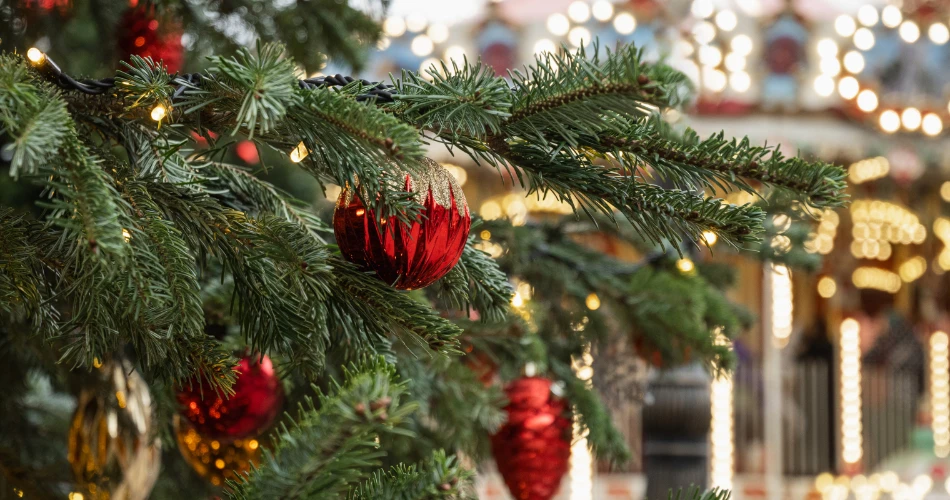 Oceanside, CA Events Guide: Festivals by Season & Best Time to Go